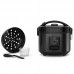 PANELA ARROZ ELECT350W (6X)PT127ERC10